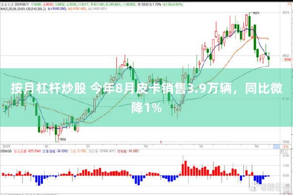 按月杠杆炒股 今年8月皮卡销售3.9万辆，同比微降1%