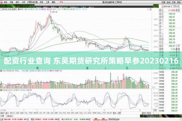 配资行业查询 东吴期货研究所策略早参20230216