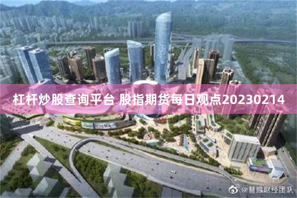 杠杆炒股查询平台 股指期货每日观点20230214