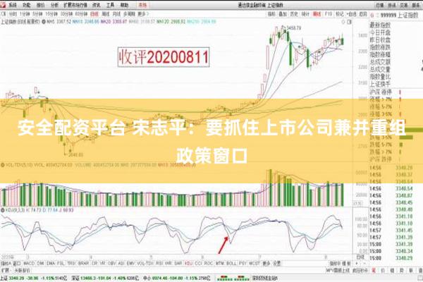 安全配资平台 宋志平：要抓住上市公司兼并重组政策窗口