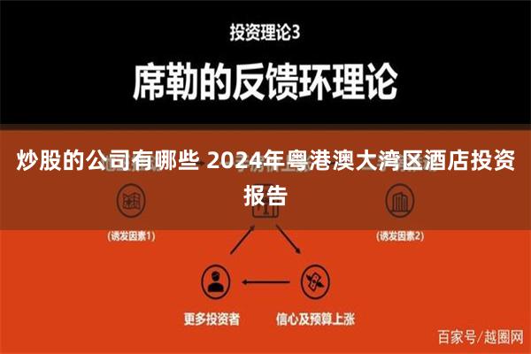 炒股的公司有哪些 2024年粤港澳大湾区酒店投资报告