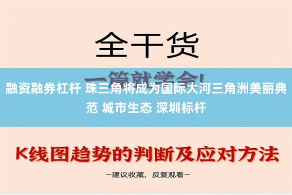 融资融券杠杆 珠三角将成为国际大河三角洲美丽典范 城市生态 深圳标杆