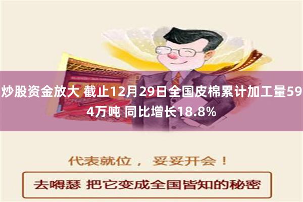 炒股资金放大 截止12月29日全国皮棉累计加工量594万吨 同比增长18.8%