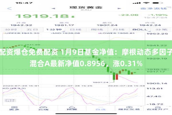 配资爆仓免费配资 1月9日基金净值：摩根动态多因子混合A最新净值0.8956，涨0.31%