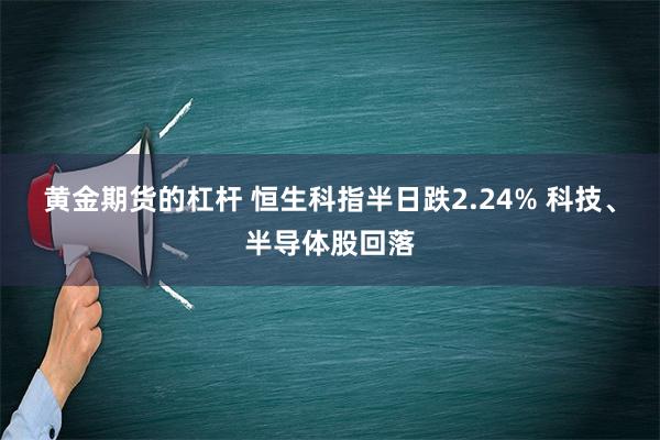 黄金期货的杠杆 恒生科指半日跌2.24% 科技、半导体股回落